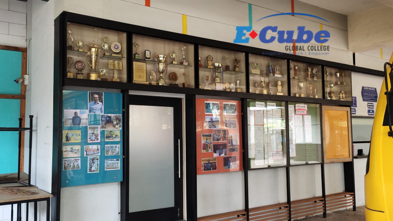 ecube gallery 03 768x432