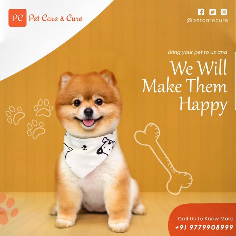 pet care ludhiana 03 768x768