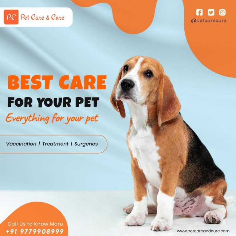 pet care ludhiana 04 768x768