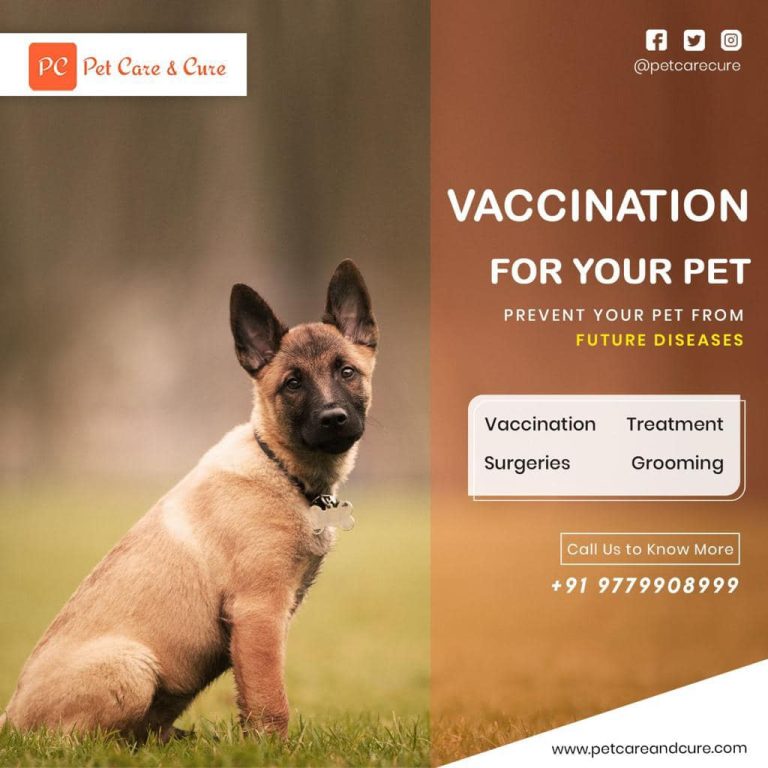pet care ludhiana 05 768x768