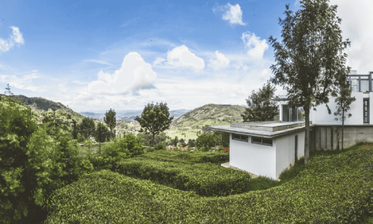 Coonoor Info 5 768x461